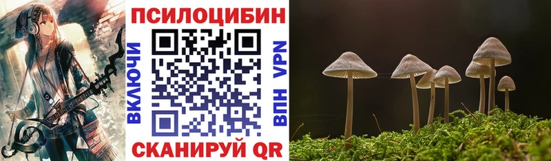 Галлюциногенные грибы Psilocybine cubensis  мега tor  Спасск-Рязанский 